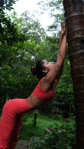 Flo Set Athletic Bra and Flared Yoga Pants Fiery Coral